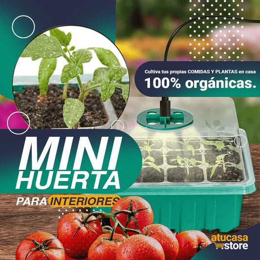 MINI HUERTA PARA INTERIORES 100% ECOFRIENDLY